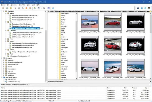 揭秘《Extreme Picture Finder》官方中文版v3.53.3 批量下載網(wǎng)頁圖片的最強(qiáng)助手